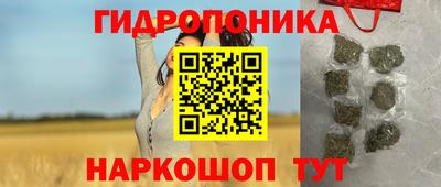 твердый Будённовск