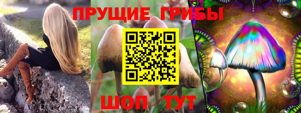 Соликамск  Галлюциногенные грибы Magic Shrooms  Вход с VPN 