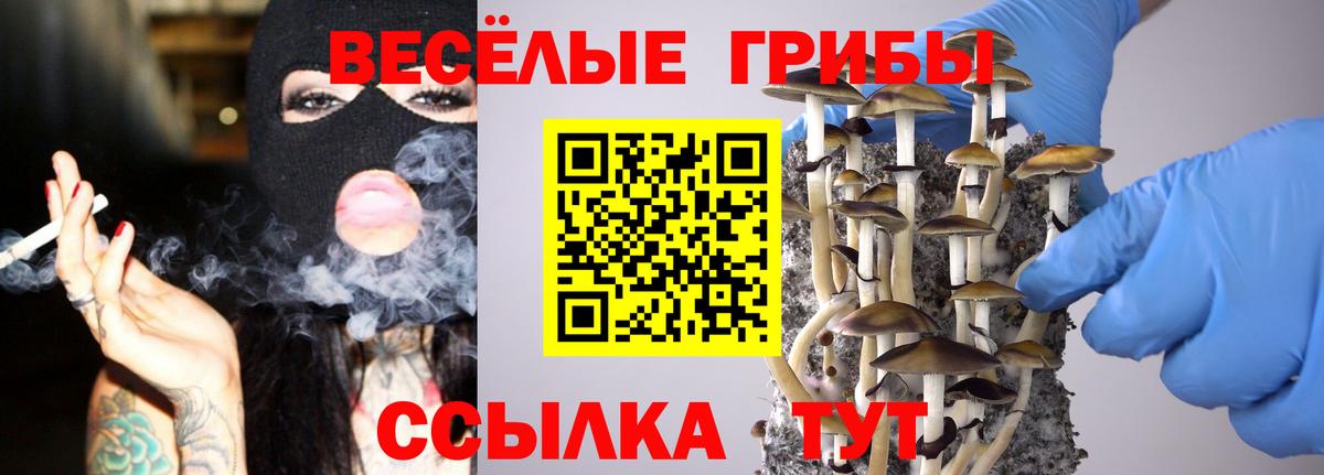 Галлюциногенные грибы GOLDEN TEACHER Соликамск